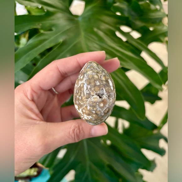 Ocean Jasper Palmstone - Picture 2 of 5